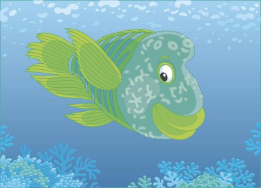 Büyük humphead wrasse vektör çizim karikatür tarzı bir tropikal Denizi'nin mavi sularına bir mercan kayalığı üzerine Yüzme