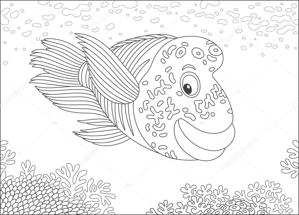 Large humphead wrasse swimming over a coral reef in a tropical sea, black and white vector illustration in a cartoon style