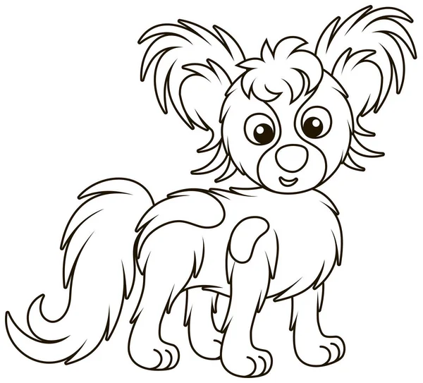 Kleiner Lustiger Hund Papillon Freundlich Lächelnd Schwarz Weiße Umrissvektorillustrationen Cartoon — Stockvektor