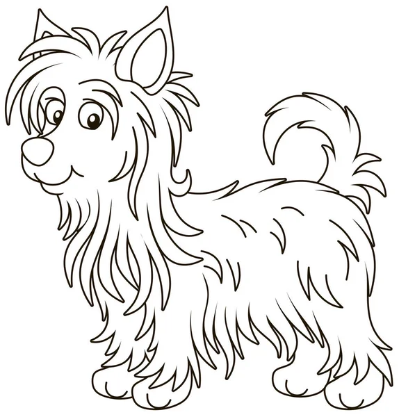 Petit Drôle Terrier Australien Soyeux Aux Cheveux Longs Illustrations Vectorielles — Image vectorielle