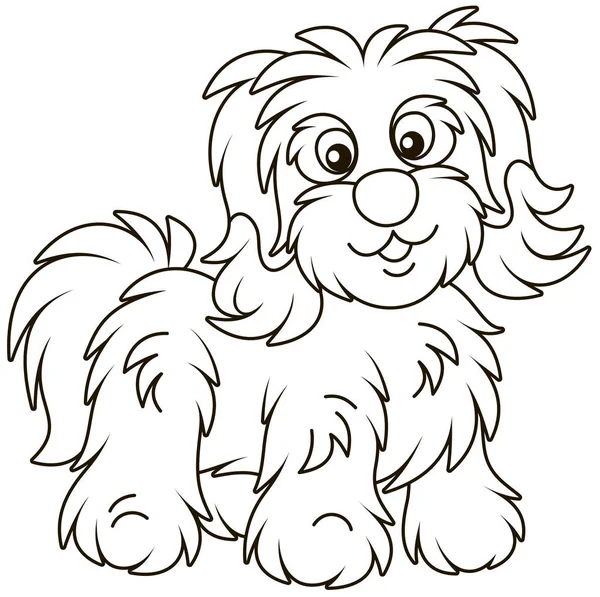 Petit Chien Genoux Bichon Avanese Drôle Aux Cheveux Longs Illustration — Image vectorielle