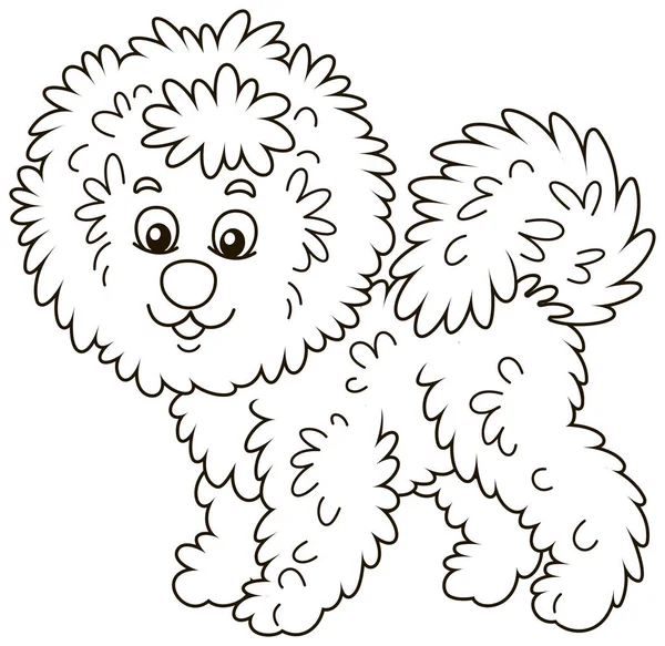 Piccolo Riccio Bichon Frise Lap Dog Amichevole Sorridente Illustrazione Vettoriale — Vettoriale Stock