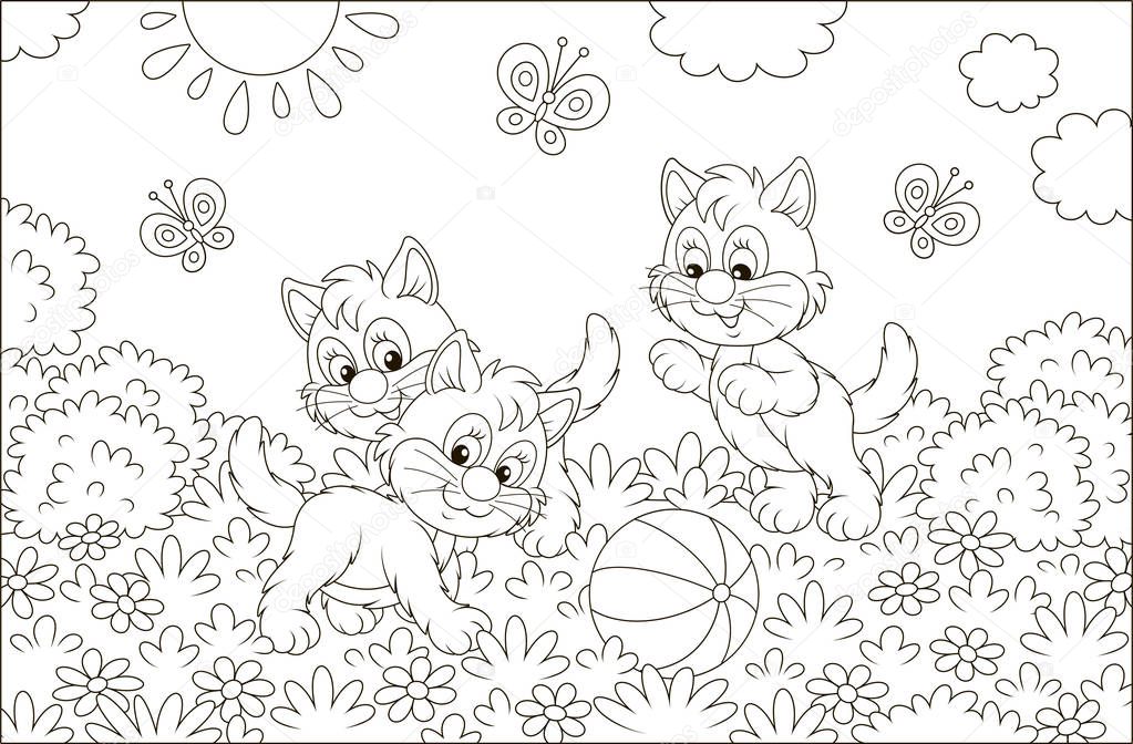 Funny little kittens playing with a ball and butterflies on grass among flowers on a sunny day, black and white vector illustration in a cartoon style for a coloring book
