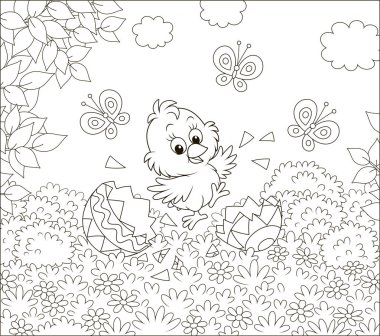 Mutlu sadece taranmış küçük civciv bir güneşli bahar günü, siyah ve beyaz vektör çizim karikatür tarzı bir boyama kitabı için çiçekler arasında çimlerin üzerine renkli Paskalya yortusu yumurta kabukları üzerinde dans