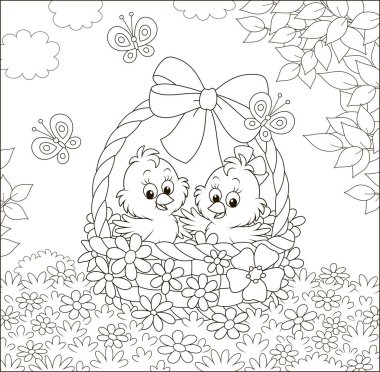 Little cute chicks in an Easter basket decorated with a big bow among flowers and fluttering butterflies on a sunny spring day, black and white vector illustration in a cartoon style vector Little cute chicks in an Easter basket decorated with a big bow among flowers and fluttering butterflies on a sunny spring day, black and white vector illustration in a cartoon style vector