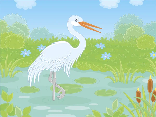 Witte Reiger Een Meertje Tussen Riet Gras Bloemen Van Een — Stockvector