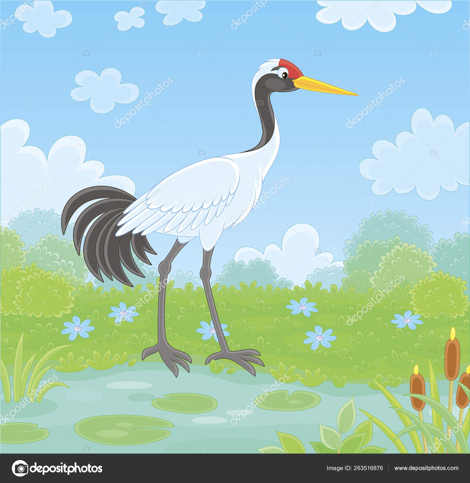 Red Crowned Crane Bird Small Lake Cane Grass Flowers Meadow Stock Vector Image by ©AlexBannykh #263516876 Red Crowned Crane Bird Small Lake Cane Grass Flowers Meadow Stock Vector Image by ©AlexBannykh #263516876