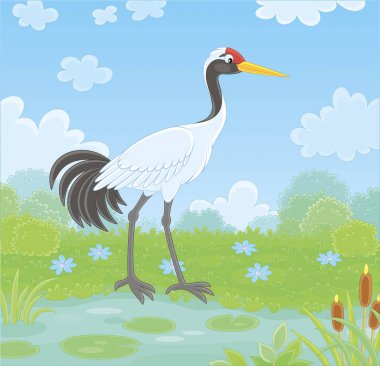 Red-crowned crane bird by a small lake among cane, grass and flowers of a meadow on a summer day, vector illustration in a cartoon style