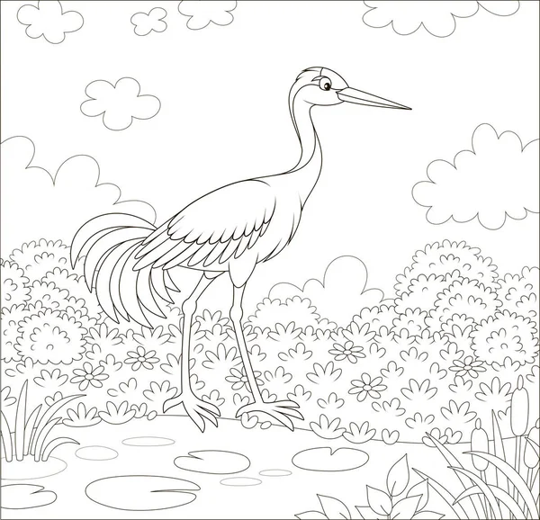 丹顶鹤鸟在小湖边的拐菜 草和花的草地在一个夏天的一天 黑白矢量插图在卡通风格 — 图库矢量图片