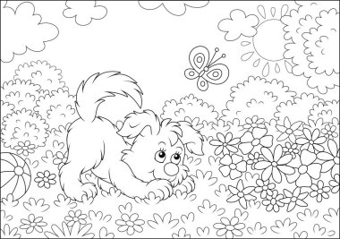 Komik küçük oyuncu köpek güneşli bir yaz gününde bir bahçenin yeşil çim üzerinde renkli çiçekler arasında bir kelebek ile oynarken, bir karikatür tarzında siyah ve beyaz anahat vektör illüstrasyon