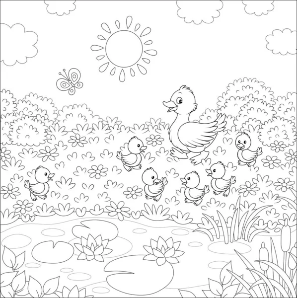 Duck Her Little Ducklings Walking Grass Flowers Small Pond Water — Stock Vector