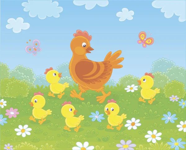 Gallina Marrón Con Pequeños Polluelos Amarillos Caminando Sobre Hierba Verde — Vector de stock