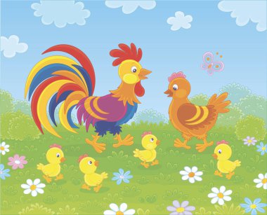 Parlak renkli horoz, sevimli bir horoz ve küçük sarı civciv bir yaz alanı, bir karikatür tarzı vektör illüstrasyon yeşil çim üzerinde çiçekler arasında yürüyüş aile