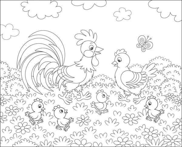 Family Rooster Cute Hen Little Chicks Walking Flowers Grass Summer — Stock Vector