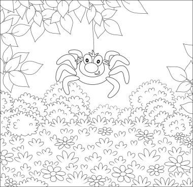 Funny and friendly smiling spider hanging on a tree branch over grass of a glade in a summer forest, black and white vector illustration in a cartoon style for a coloring book vector