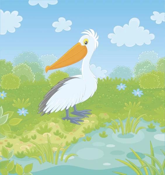 Duży Biały Pelikan Przez Małe Jezioro Zielonej Łące Letni Dzień — Wektor stockowy