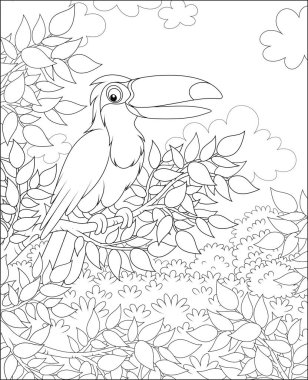 Güneşli bir yaz gününde tropikal ormanda bir ağaç dalı tünemiş komik bir gaga ile Toucan, bir boyama kitabı için bir karikatür tarzı siyah beyaz vektör çizimler