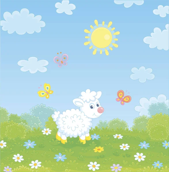在阳光明媚的夏日 小白羊羔和在草地上绿草丛中飞溅五颜六色的蝴蝶 卡通风格的矢量插图 — 图库矢量图片