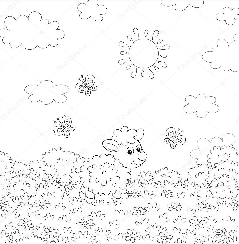 Cute little lamb and flittering butterflies among flowers on a meadow on a sunny summer day, black and white vector illustration in a cartoon style for a coloring book