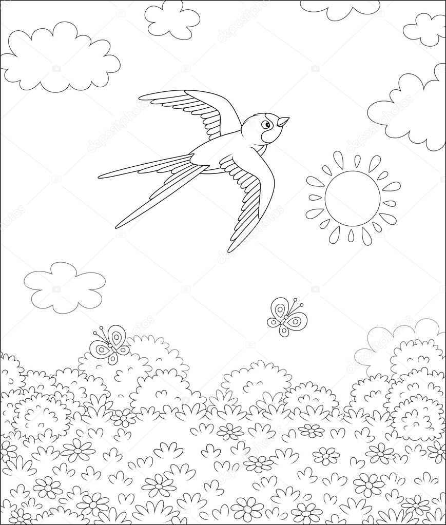 Swift-flying small swallow in summer sky over a field with butterflies flittering among flowers on a sunny day, black and white vector illustration in a cartoon style