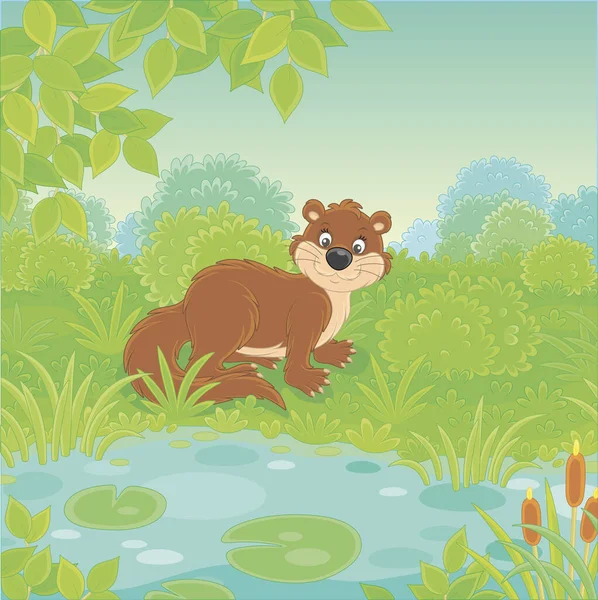 Brown River Otter Grass Small Blue Lake Wild Green Forest — Stock Vector