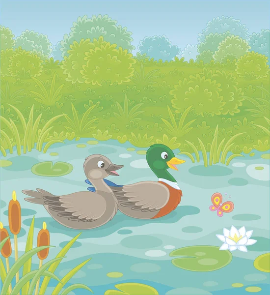 夏の日に緑の草原で小さな青い湖で泳ぐ野生のアヒル 漫画のスタイルでベクトルイラスト — ストックベクタ