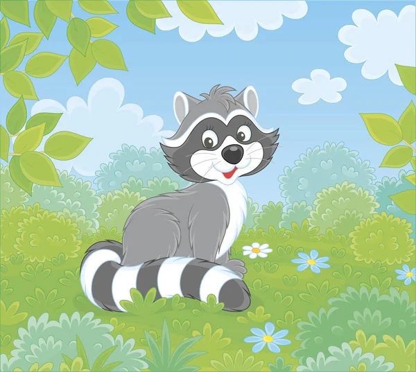 美丽的夏日里 可爱的浣熊栖息在森林边的灌木丛和树枝间的绿草上 用卡通画的方式描绘病媒 — 图库矢量图片