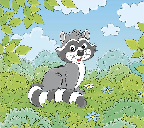 Cute Raccoon Sitting Green Grass Bushes Branches Trees Forest Edge — ストックベクタ