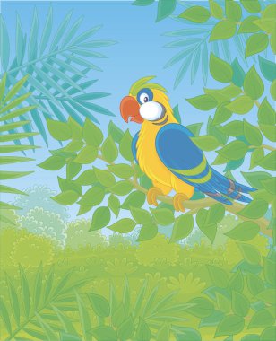 Tropikal ormanda yeşil bir ağaç dalına tünemiş komik renkli papağan, çizgi film tarzında vektör çizimleri.