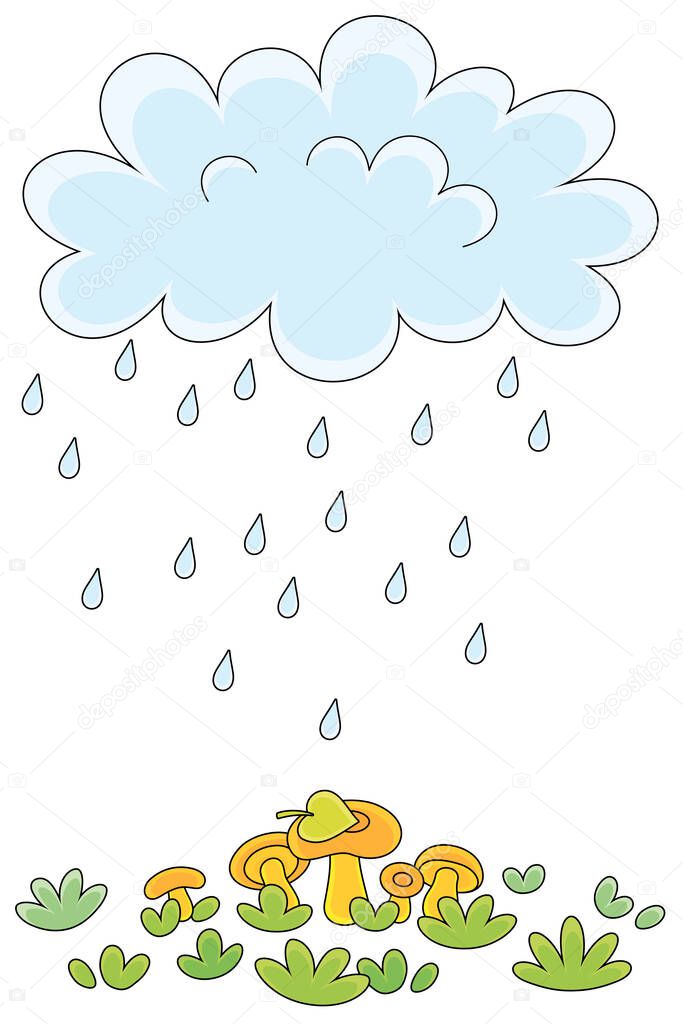 Funny plump rain cloud with dripping raindrops pouring mushrooms on a green forest glade on a rainy summer day, vector cartoon illustration on a white background