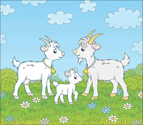 图为一个白种人小孩 他带着一只奶妈山羊和一只灰色的山羊在一个美丽的夏天的草地上散步 在一个美妙而温暖的日子里 他的花朵五彩斑斓 — 图库矢量图片