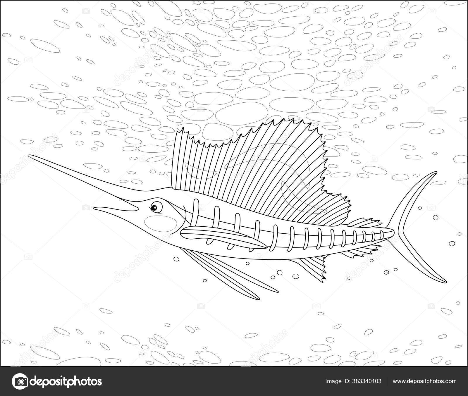 바다에서 헤엄치고 황새치 윤곽을 이루고 스톡 벡터 - ©AlexBannykh 383340103, image size:1600x1354