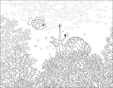 Komik deniz salyangozu ve küçük neşeli bir balık Güney Denizi 'nde ilginç bir tropikal resif üzerinde ilginç mercanlar arasında yüzüyorlar. Siyah-beyaz çizgili vektör çizimi.