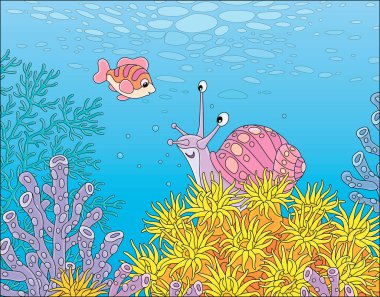 Komik deniz salyangozu ve parlak ve renkli mercanların arasında yüzen küçük neşeli bir balık güney denizinde inanılmaz bir tropikal resifin mavi sularında, vektör karikatür çizimi