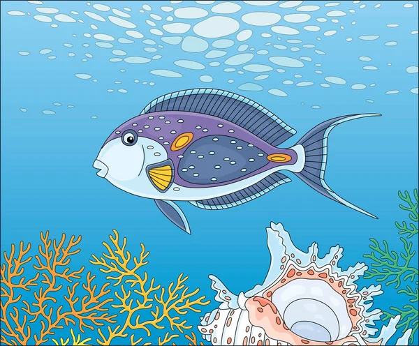 Εξωτικά Πολύχρωμα Parrotfish Κολύμπι Πάνω Από Ένα Γραφικό Κέλυφος Μεταξύ — Διανυσματικό Αρχείο