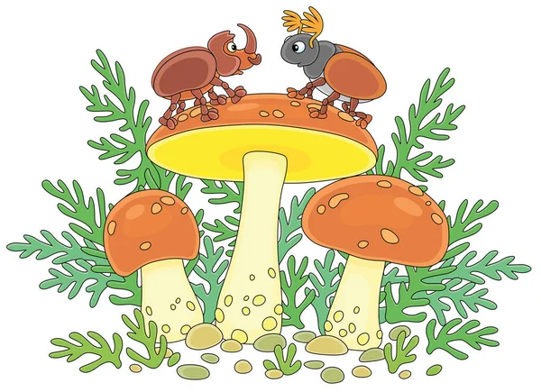 Mantar Kapaklar Vector Art Stock Images ページ 2 Depositphotos