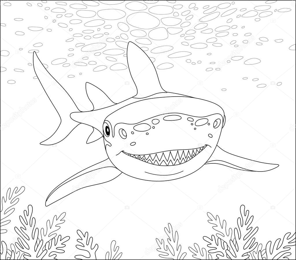 Shark swimming over a reef in a tropical sea, black and white vector cartoon illustration for a coloring book page