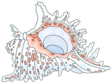 Güney denizindeki tropikal bir resiften pembe benekli güzel beyaz kabuk, beyaz arkaplanda vektör karikatür çizimi