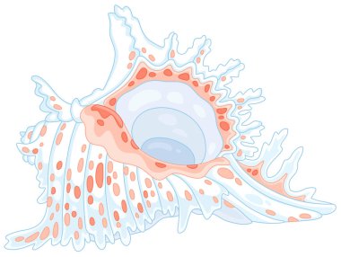 Güney denizindeki tropikal bir resiften pembe benekli güzel beyaz kabuk, beyaz arkaplanda vektör karikatür çizimi