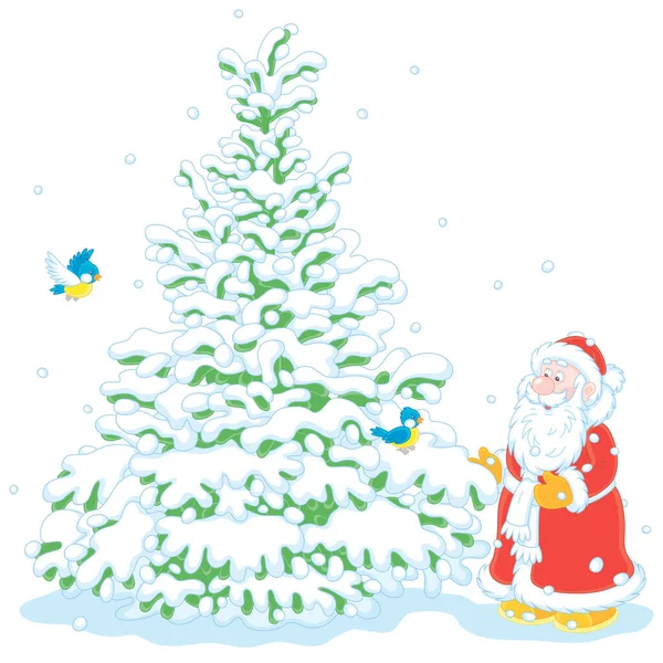 눈덮인 숲에서 아름다운 크리스마스 트리를 선택하는 산타클로스하얀 — 스톡 벡터