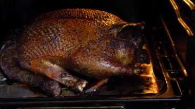 Fırında pişmiş altın hamurlu kocaman bir ördek.