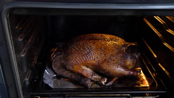 Een Enorme Eend Met Een Gouden Korst Gebakken Oven — Stockvideo