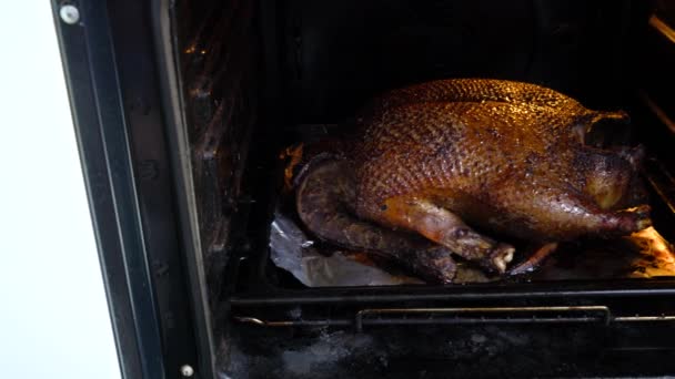 Een Enorme Eend Met Een Gouden Korst Gebakken Oven — Stockvideo