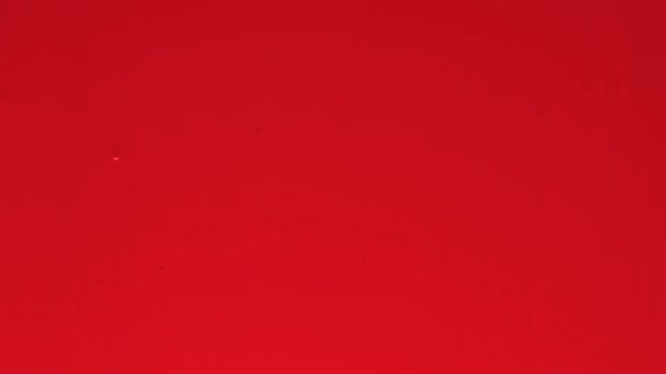 Pintura Acrílica Roja Drena Sobre Fondo Blanco Cubriéndolo Completamente — Vídeos de Stock