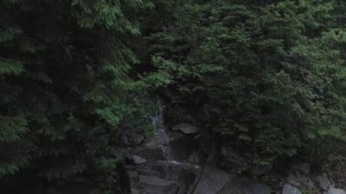 Küçük dağ şelalesi, kayaların üzerinden akan temiz su Karpat dağlarındaki nehre akıyor.