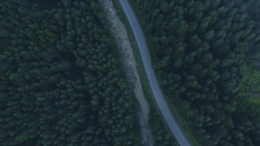 Asfalt yolu dağlardan geçiyor. Bir dağ deresi yol boyunca akar ve onunla kesişir.