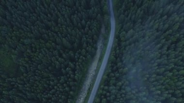 Asfalt yolu dağlardan geçiyor. Bir dağ deresi yol boyunca akar ve onunla kesişir.