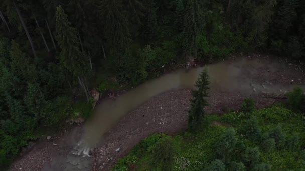 Dağ Nehrindeki Akıntısı Karpat Dağlarındaki Yüksek Çam Ağaçları Üzerindeki Sis — Stok video