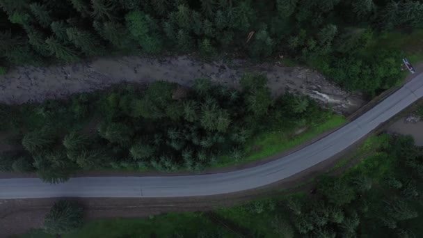 Camino Asfalto Atravesando Las Montañas Arroyo Montaña Fluye Largo Del — Vídeo de stock