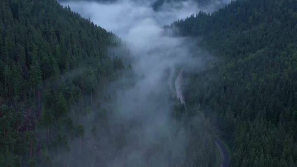 アスファルトの道路は山を通って行く 渓流が道に沿って流れ それと交差します — ストック動画